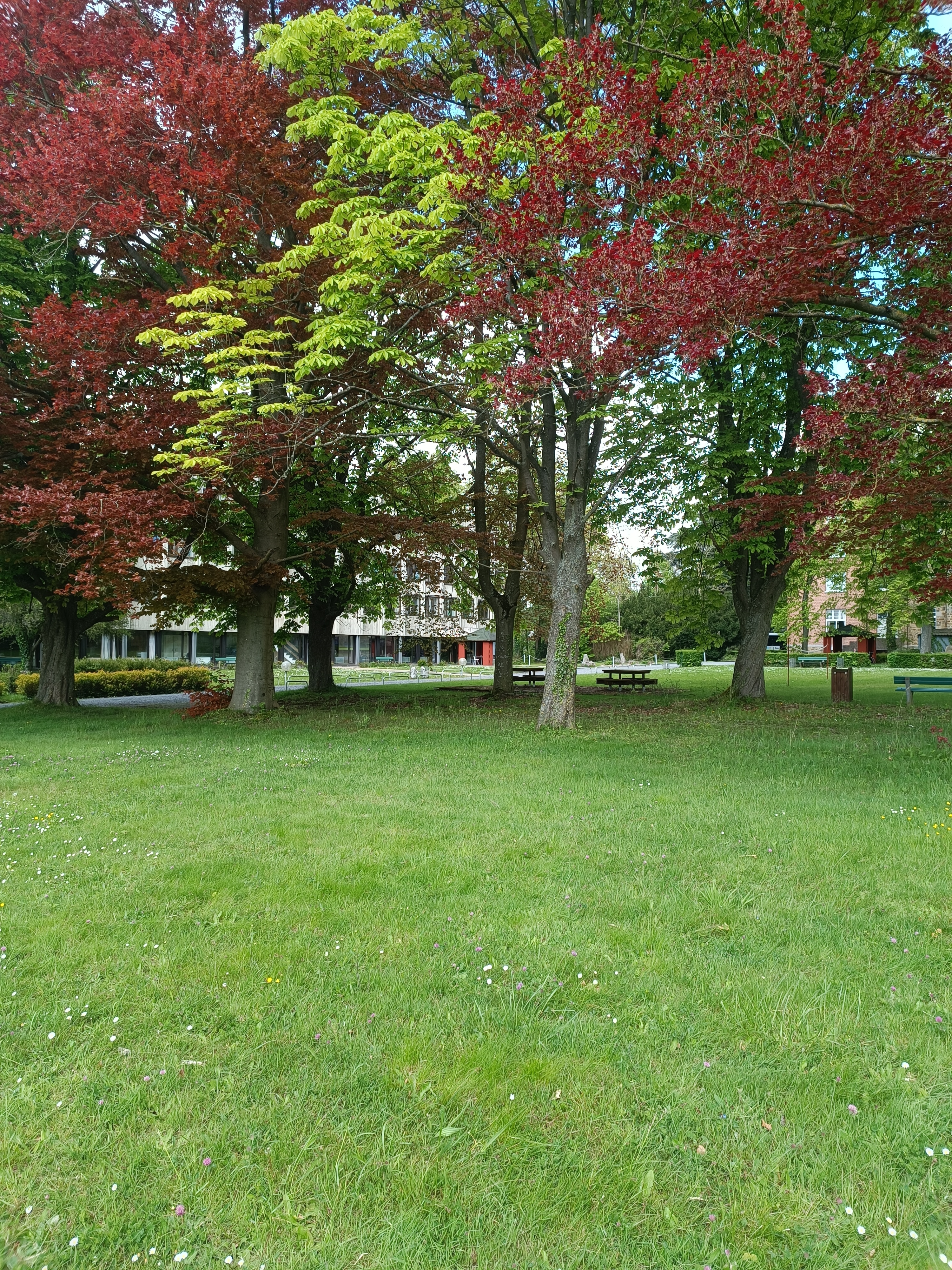 Internat Haute-Anhaive : Le domaine